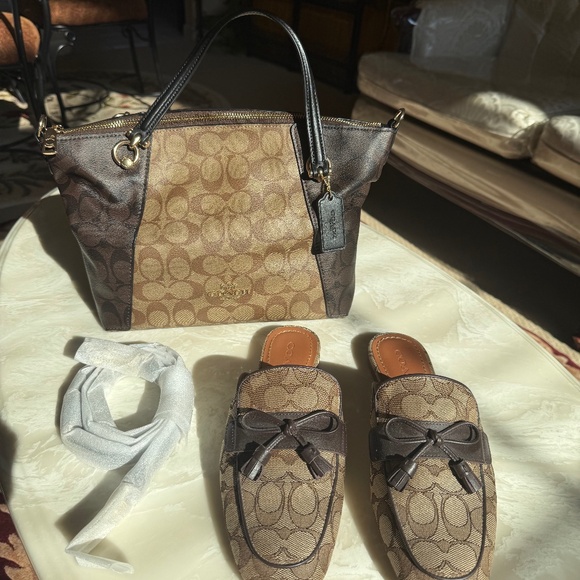 Coach bag and shoes - Picture 1 of 1
